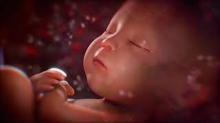 ♥ 5 Heures de Bruit Blanc pour Dormir Bébé 👶 Son Intra-utérin avec Battement de Cœur Calme
