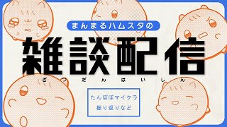 まんまるﾊﾑｽの雑談配信🍵0427┆ﾊﾑｽﾀｰのきなこ