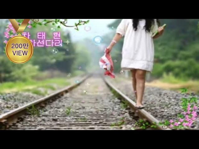 차태현-이차선 다리(복면달호OST)