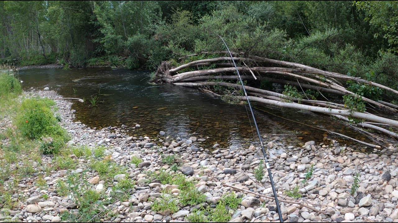 Pescando en una gran eclosión de bétidos |  Ultimo vídeo |Temporada pesca 2020