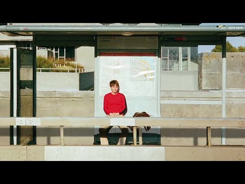 Matt Maltese - queen bee [Official Audio]