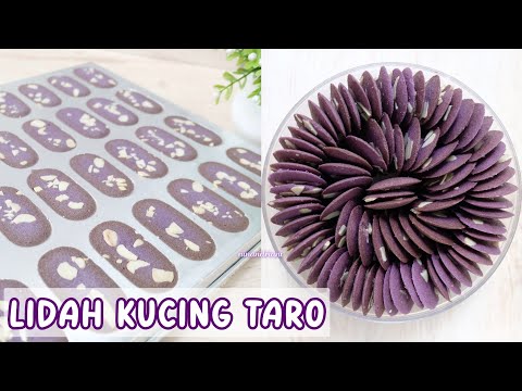 Lidah Kucing Taro