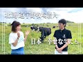 【世界最高峰の牛乳ができるまで】グラスフェッドミルクとは？【放牧牛の日常】
