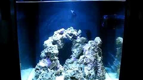 Solana with votech mp20 making waves!