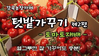 텃밭가꾸기 제2편 (토마토재배와 관리방법)