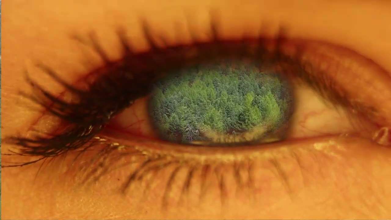 Eye loop