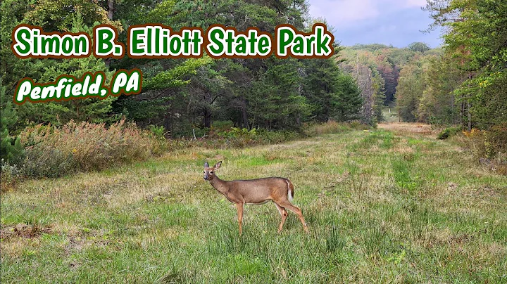 Simon B. Elliott State Park - Penfield, PA