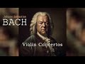 Bach  timeless baroque music  violin concertos and oboe
