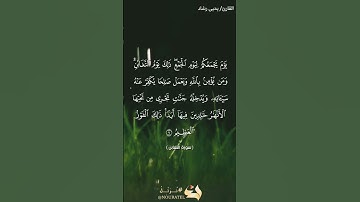 تلاوة عطرة لما تيسر من سورة التغابن بصوت القارئ الشيخ يحيى رشاد #quran #tiktok #quraan #quranquotes