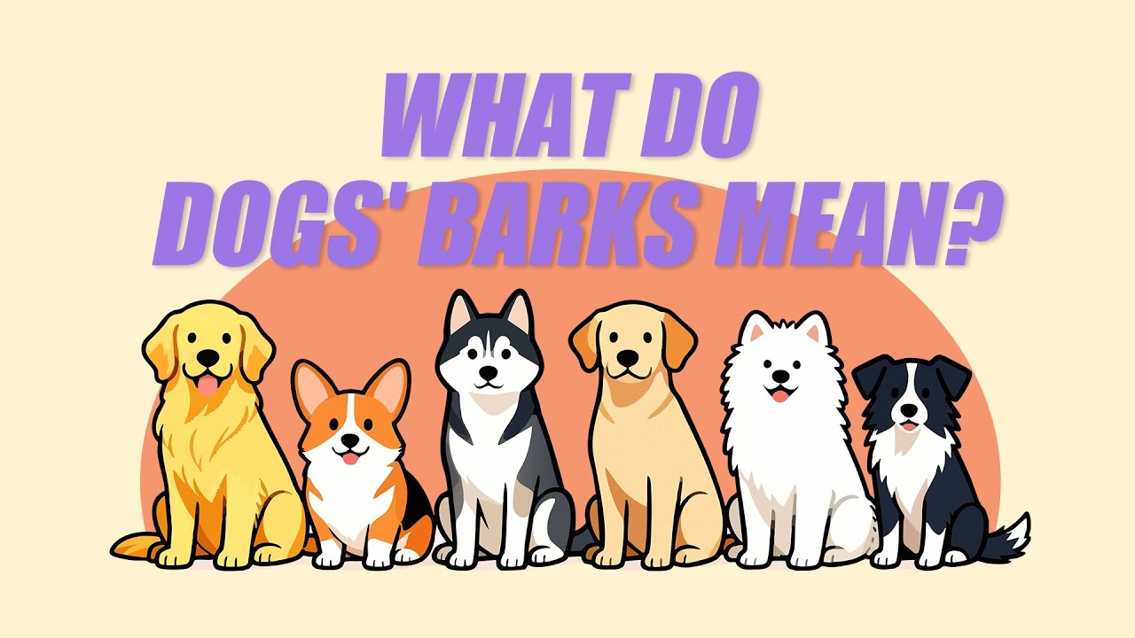 Why Can't Humans Understand Dogs's Barks After 10,000 Years Together?