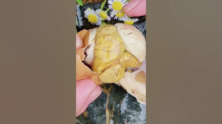 #活珠子#钢化蛋13天的五香味特别有营养，有肉有汤有蛋黄 - 天天要闻