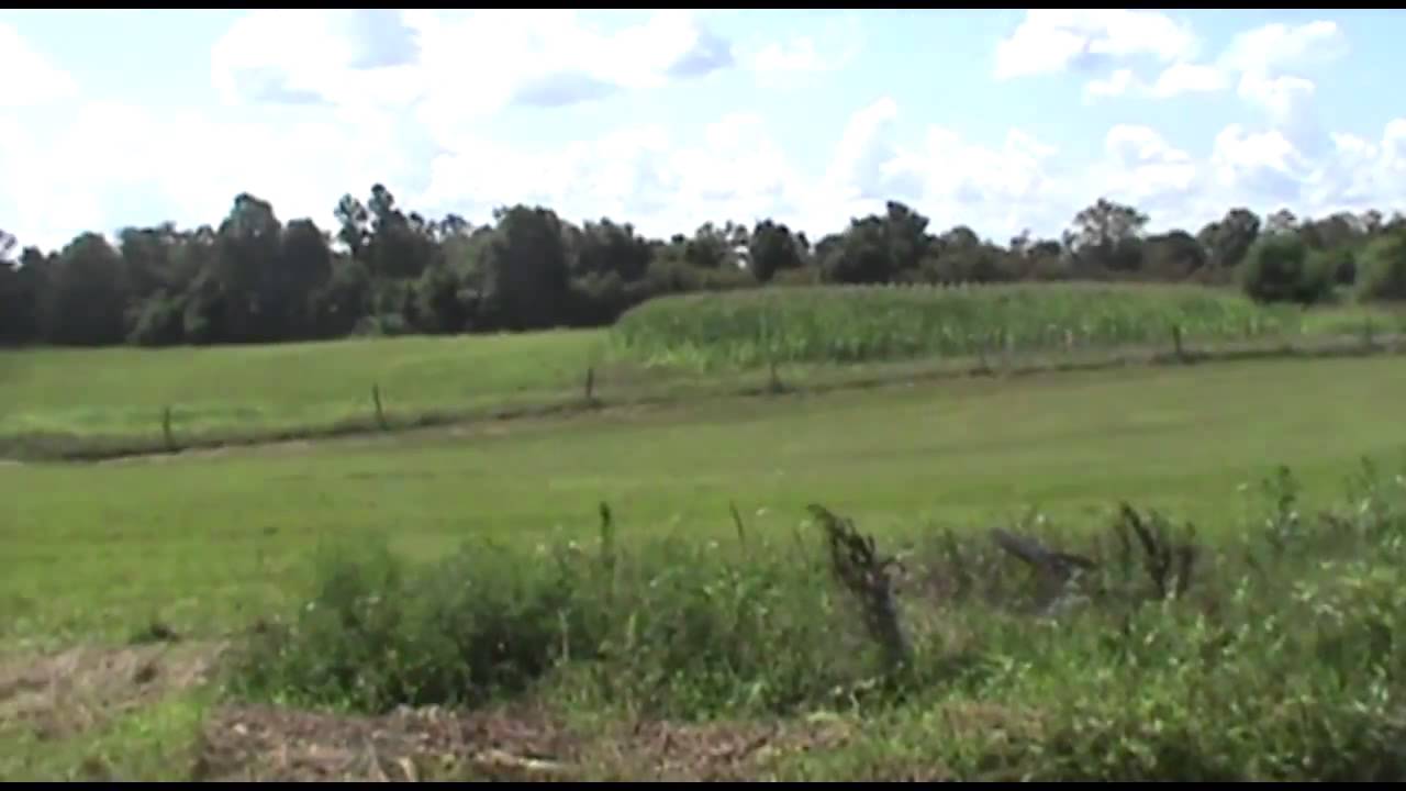 Cabin Creek 2, Land for Sale in Lewis County Kentucky YouTube
