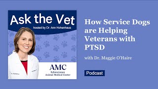 Ask the Vet: How Service Dogs are Helping Veterans with PTSD with Dr. Maggie O'Haire