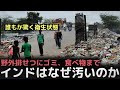 「誰もが驚く衛生状態」弱い者は生き残れない、インドの衛生