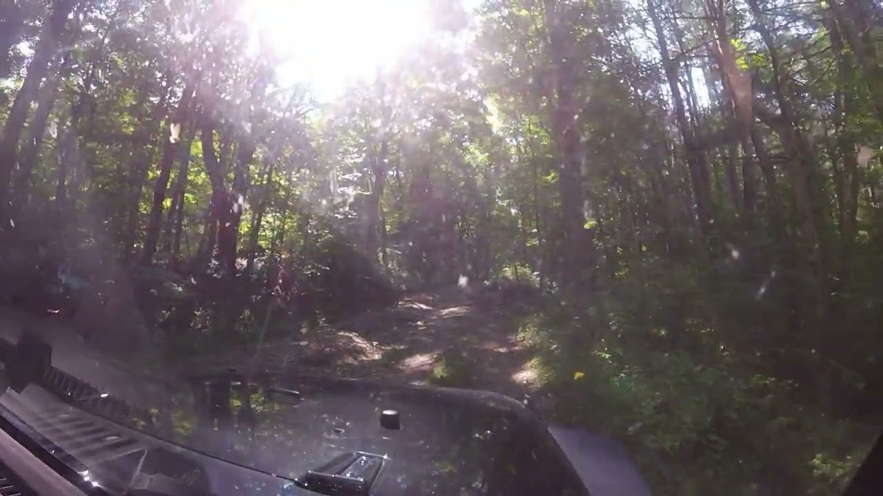 Flatbrook Roy Wildlife Mngmt Area - P2