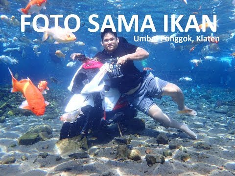 dolan-ke-umbul-ponggok-klaten-pilihan-liburan-menyegarkan