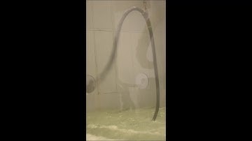 Freedom WATA by Sun Yuan and Peng Yu