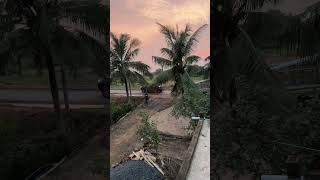 View Fortuner #funny #lifeisbutadream #comedy #ghost #shorts
