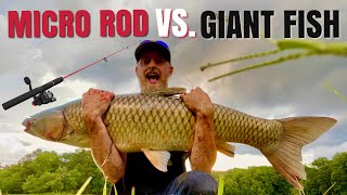 GIANT Fish Caught on KIDS Fishing Rod! 