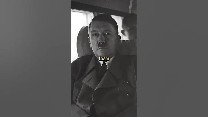What Did Hitler's Personal Pilot Reveal After the War #ww2