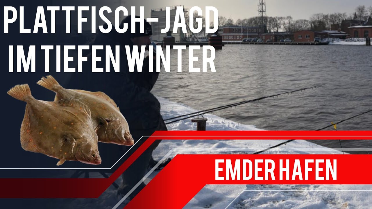 Plattfisch-Jagd im Emder Hafen! ⚓🐟