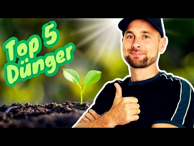 Meine Top 5 Organischen Dnger | Nachhaltig & kologisch Grtnern |  Makronhrstoffe - YouTube