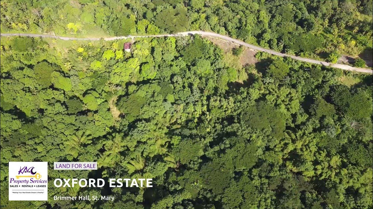 Oxford Estate, Free Hill, St Mary land realestagent investment stmary jamaica farmlands