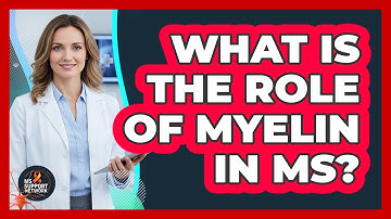 What Is The Role Of Myelin In MS?