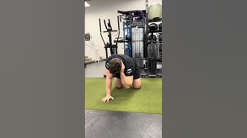 Quadruped T Spine Rotation
