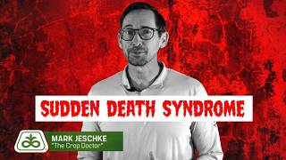 The Scariest Name in Crop Disease: Soybean Sudden Death Syndrome Explained | Crop Doctorate