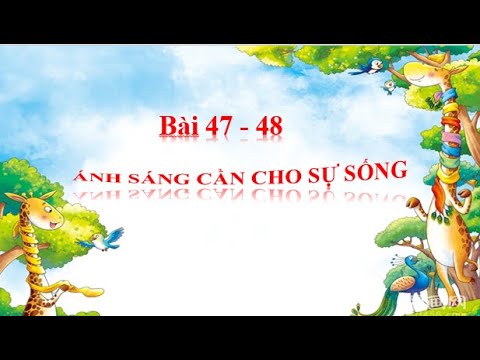Video KHOA HỌC LỚP 4: BÀI 47 - 48: ÁNH SÁNG CẦN CHO SỰ SỐNG - youtube