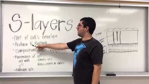 Bio Sci 122: S-Layers