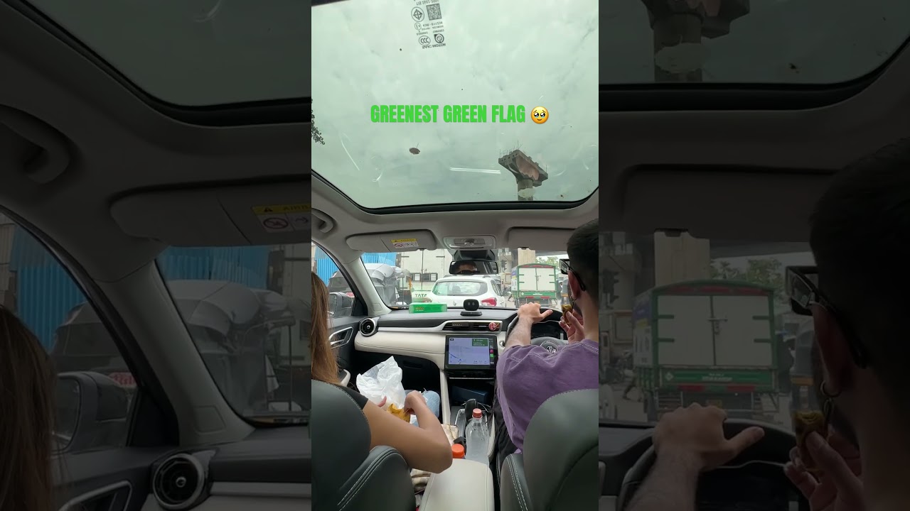 The Greenest Green flag 🥹💚 