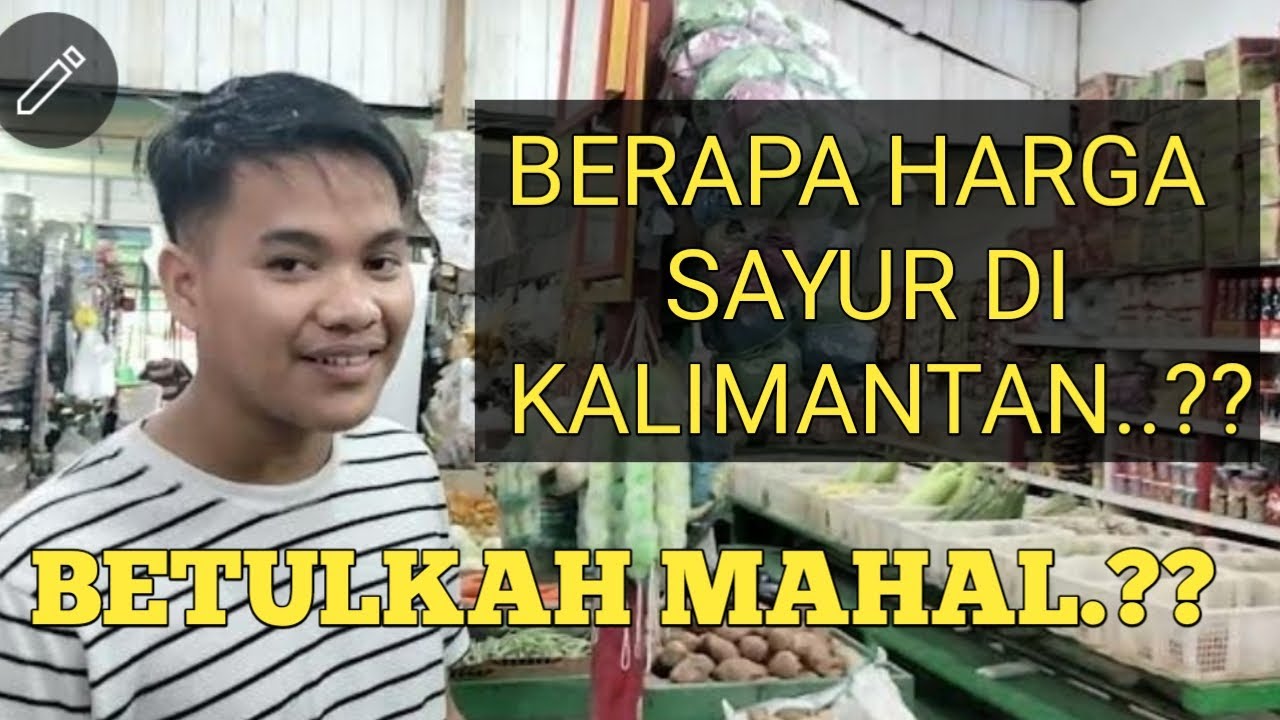 HARGA SAYUR DI KALIMANTAN?? Peluang usaha. ide bisnis. ide usaha. ide jualan.