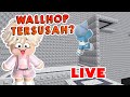 ACIL MAIN TOWEL WALLHOP SAMBIL LIVE STREAM  - Roblox Indonesia