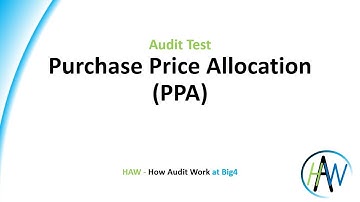 6.46 Audit Test - Purchase Price Allocation PPA - Preview