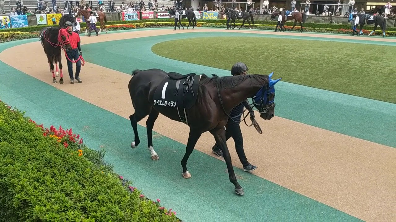 今日 の 競馬 鉄板 レース