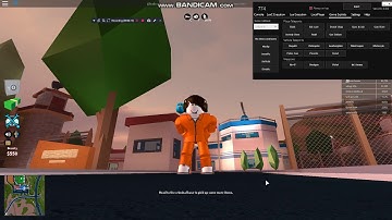 ✅ (WORKING!)✅ ROBLOX EXPLOIT 774|2017WORKS!|COMMANDS|BTOOLS,NOCLIP,INVISICAM,AND MORE!!✅