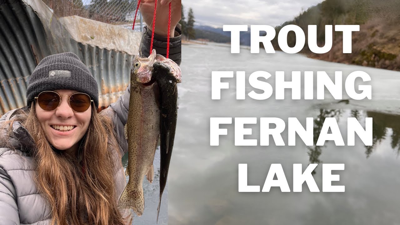 I Found A Pool Of Trout On Fernan Lake! (Winter Stocked Trout Fishing