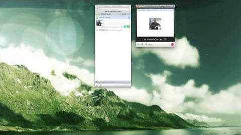 How to Use Internet Messenger Programs : How to Make a Skype Video Call