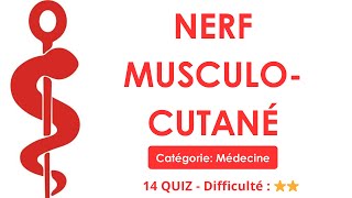 Nerf musculo-cutané - Catégorie: Médecine - 14 QUIZ - Difficulté : ⭐⭐