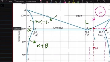 UW | MSE 170 - SP 22 | Phase Diagrams - Lever Rule | Chaman