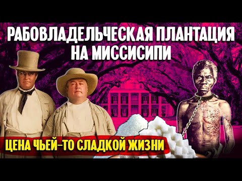 Рабовладельческая плантация на Миссисипи: цена чьей-то сладкой жизни