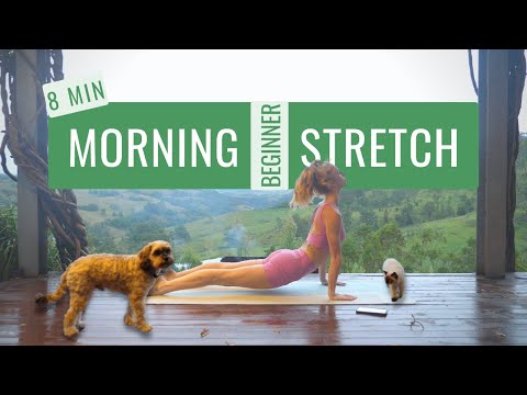BEGINNER MORNING STRETCH | Train Like a Ballerina