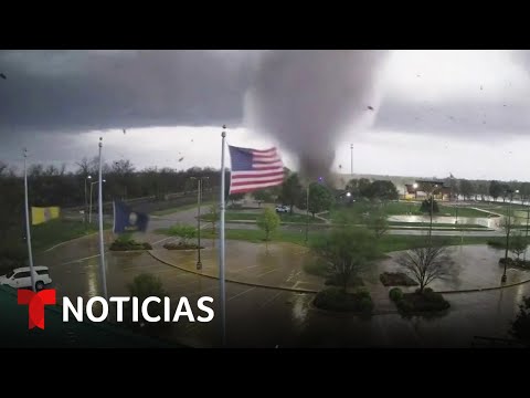 Video: Cómo ayudar a los animales afectados por el tornado de Oklahoma