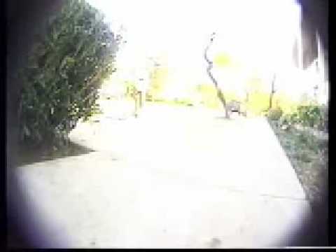 Dustin Dollin In Baker Bootleg