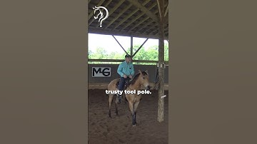 Intro To Riding Bridleless! Part 16! | The Horse Guru-Michael Gascon