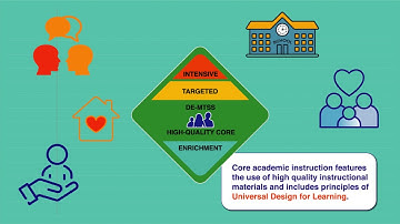 DE MTSS Overview Video