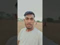 Tennis ball hoi babahana Re ghasokhaiba best0 #bollywood #song #odia #hindi #indianplayers #chirag