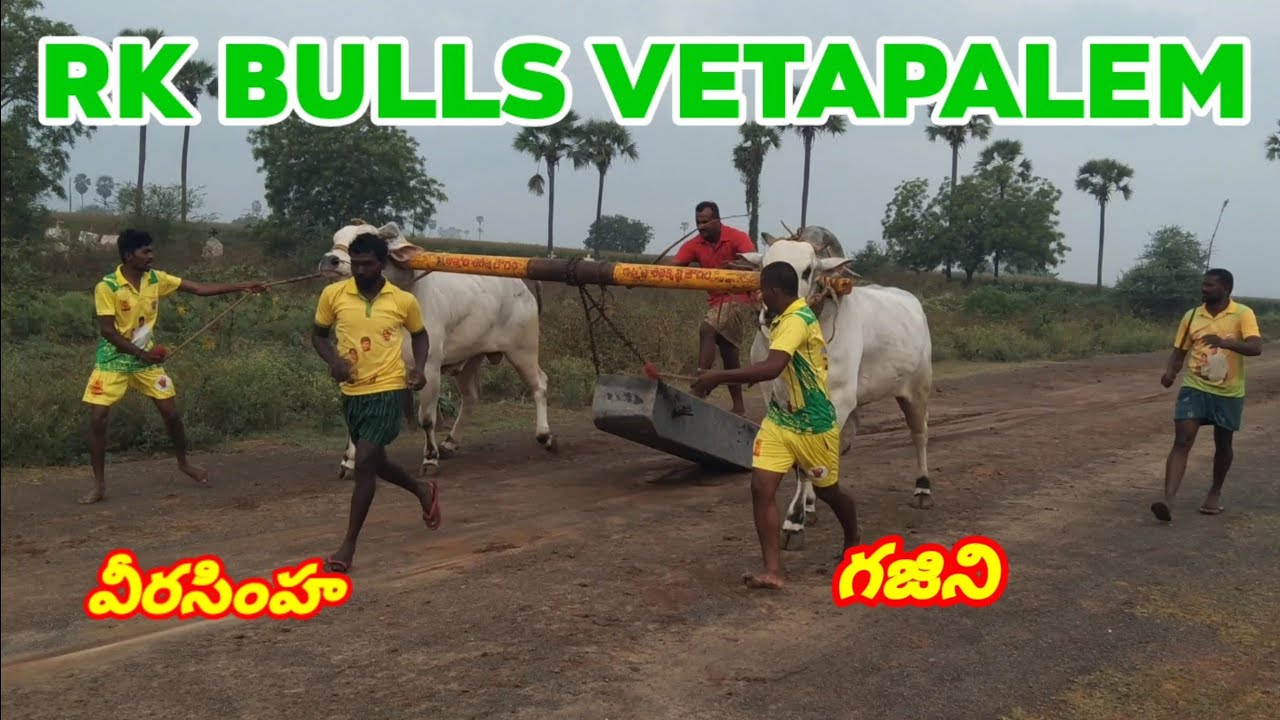 RK BULLS VETAPALEM.(గజిని వీరసింహ) Today Beta